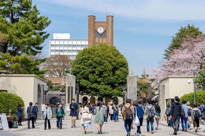 So sánh chi tiết: Nên đi Du học hay Xuất khẩu lao động Nhật Bản năm 2026?